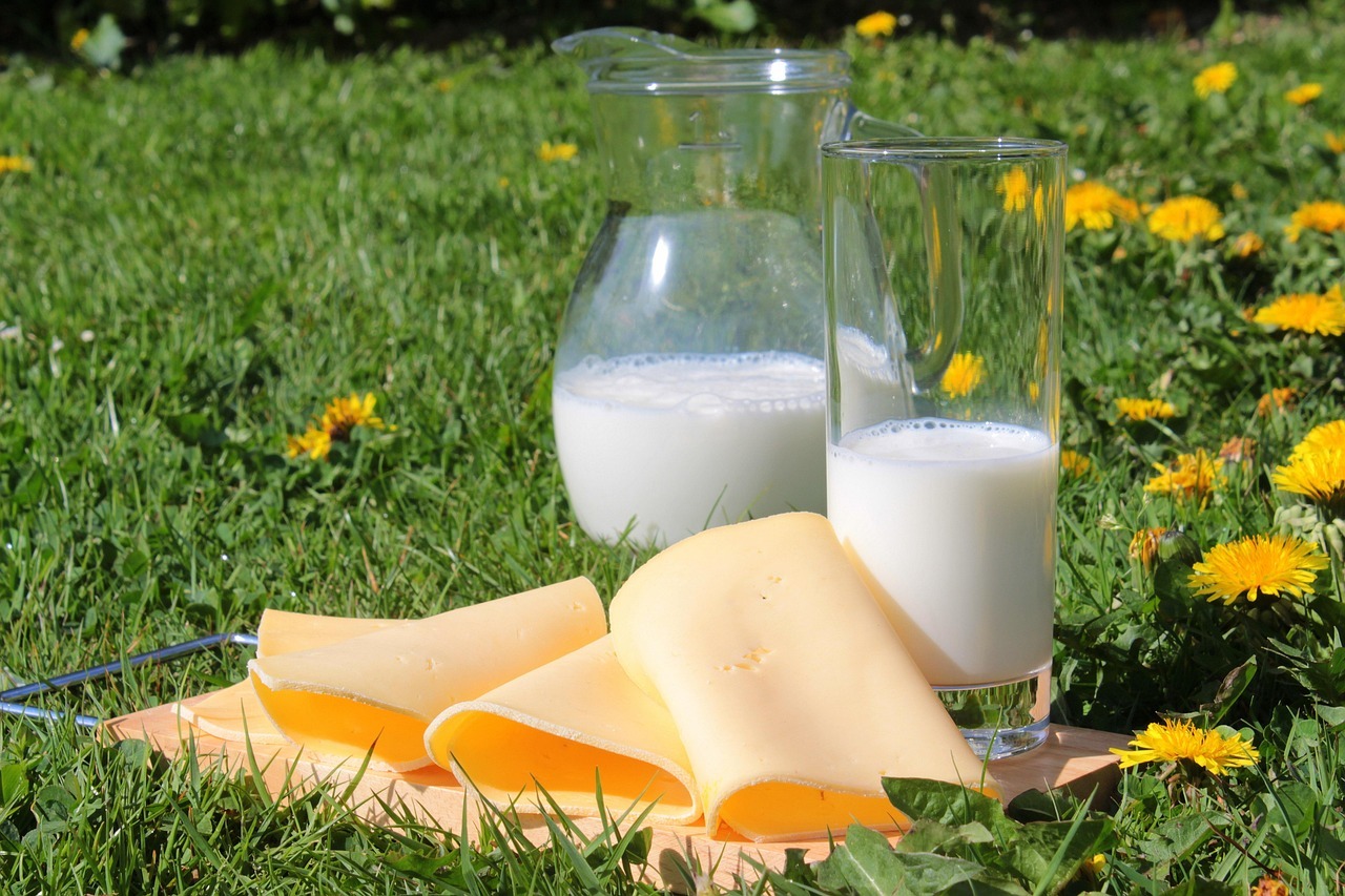 milk, cheese, cheese slices, dairy products, food, healthy, vitamins, calcium, drink, enjoyment, yummy, nourishment, fresh, protein, breakfast, milk, milk, milk, milk, cheese, cheese, dairy products, dairy products, dairy products, dairy products, dairy products, calcium, calcium, calcium